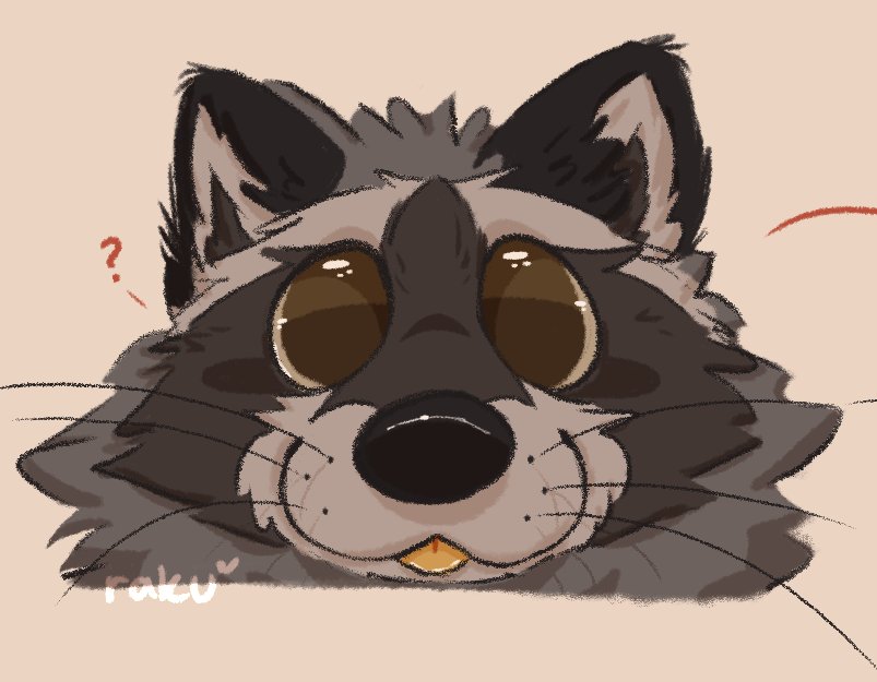 raku 🤎 tweet media