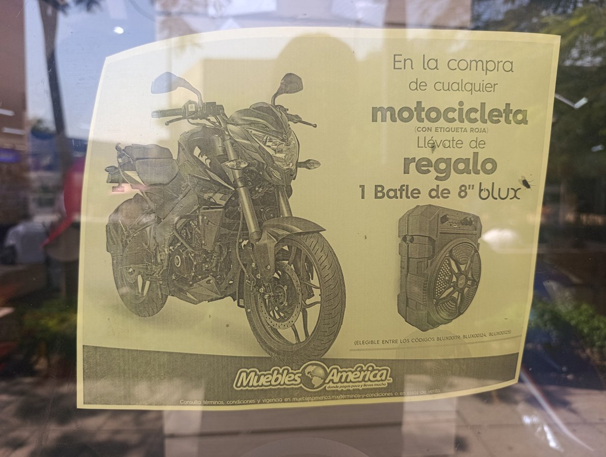 Berniedevortex tweet media