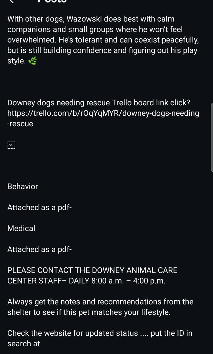 8415_n's tweet image. WAZOWSKI #A5755680
3yo.#labrador #lab #labrescue #labradorrescue
Sweet happy lab, eager to please. Your #bff, comforter &amp;amp; peace in this crazy human world. #Downey gave him a #72hNotice ‼#socal #norcal #pnw
#PLEDGE
#FOSTER @ NO COST‼
#ADOPT anywhere 🇺🇲
👇
instagram.com/reel/DVWpnVkEp…