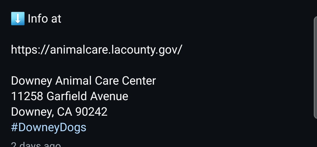 8415_n's tweet image. WAZOWSKI #A5755680
3yo.#labrador #lab #labrescue #labradorrescue
Sweet happy lab, eager to please. Your #bff, comforter &amp;amp; peace in this crazy human world. #Downey gave him a #72hNotice ‼#socal #norcal #pnw
#PLEDGE
#FOSTER @ NO COST‼
#ADOPT anywhere 🇺🇲
👇
instagram.com/reel/DVWpnVkEp…