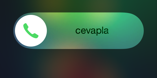 Görmeyi asla bırakmak istemediğim çağrı