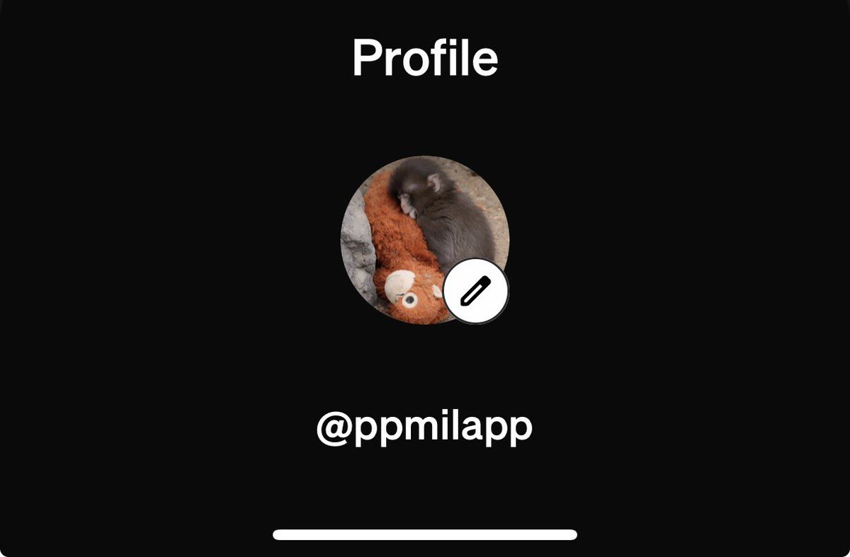 ppmilapp tweet media