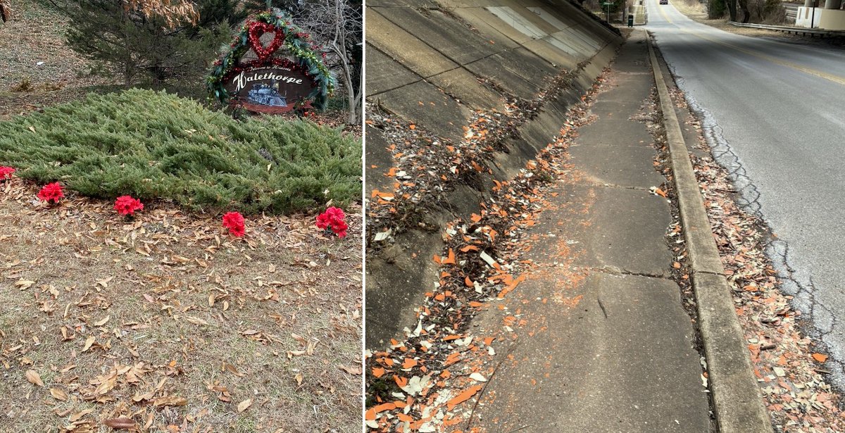 Baltimore Brew tweet media