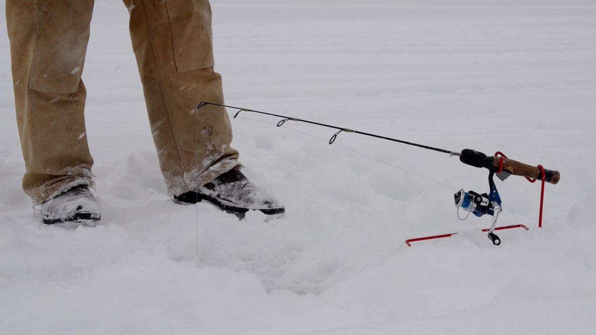 Ontario's Highlands tweet media