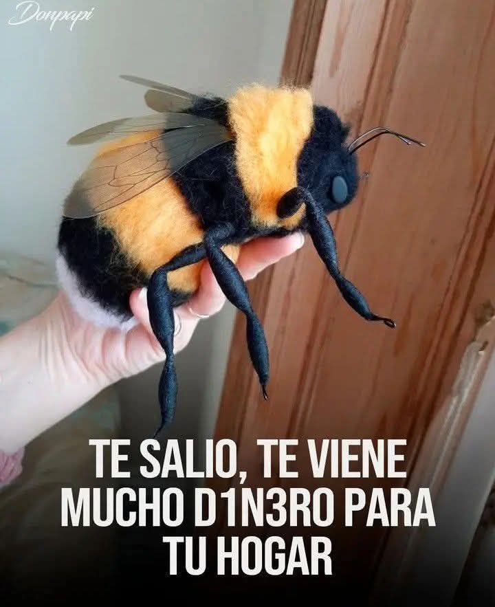 Rincón Curioso tweet media