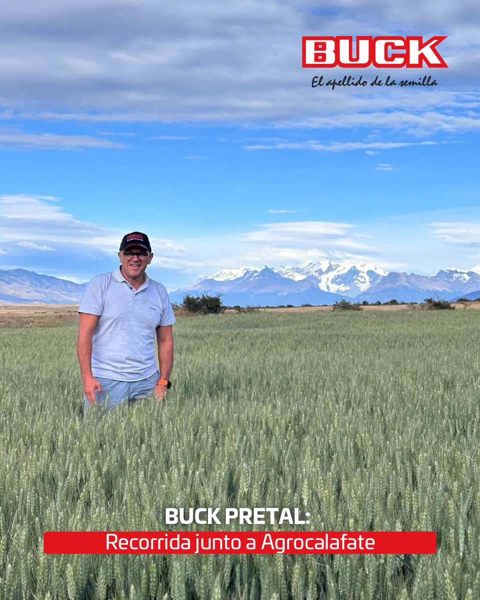 Buck Semillas tweet media