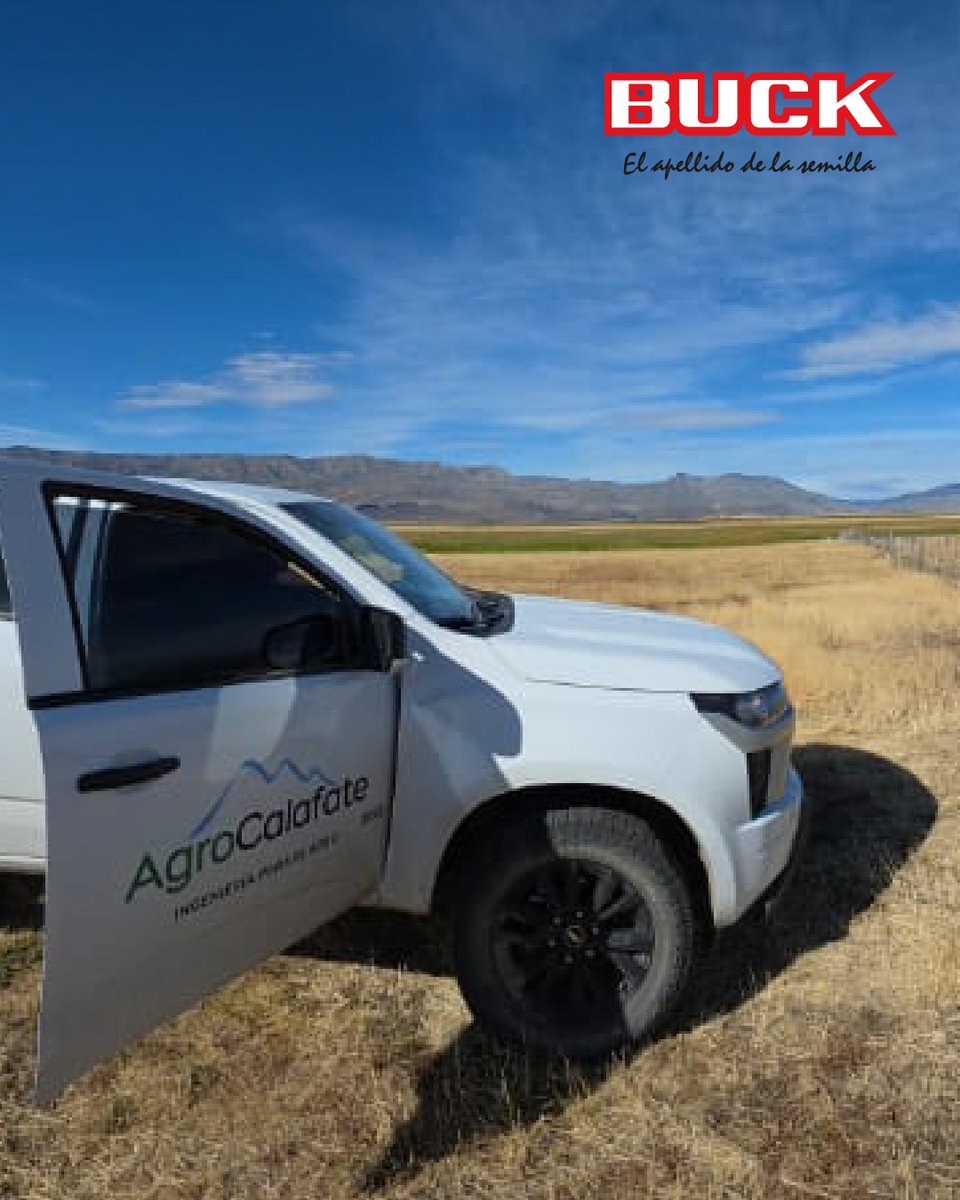 Buck Semillas tweet media