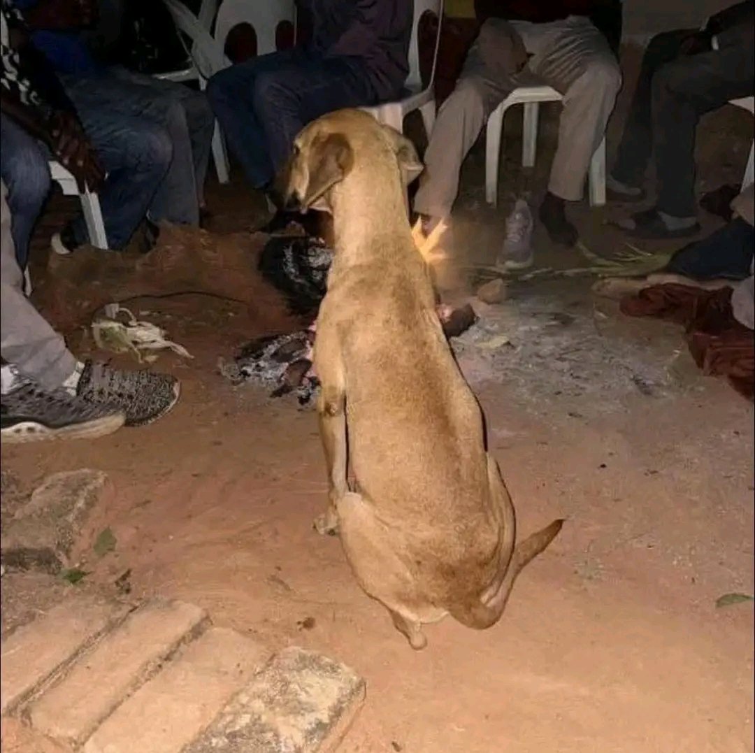Forlan__99's tweet photo. How relatives see you at a family gathering contributing knowledge when you're broke😭….. https://t.co/hW33F1MyfY
