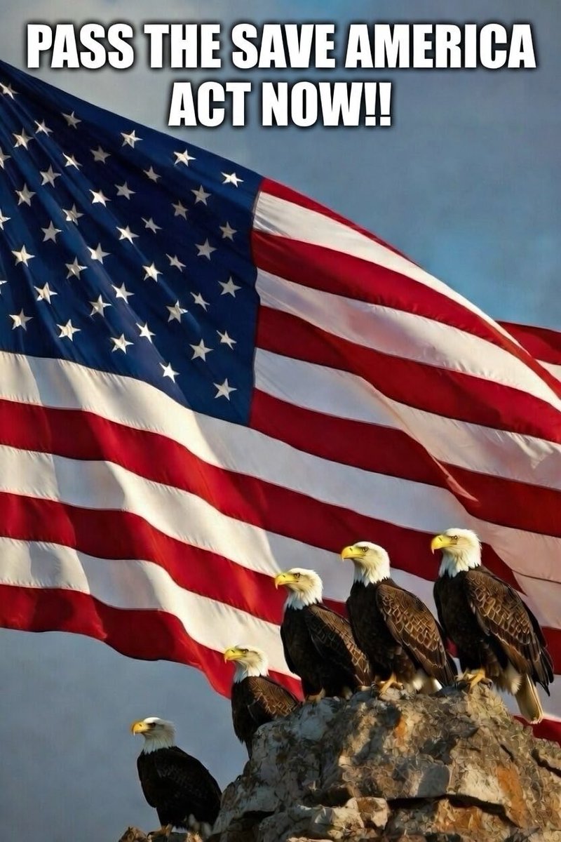 Just Chris tweet media