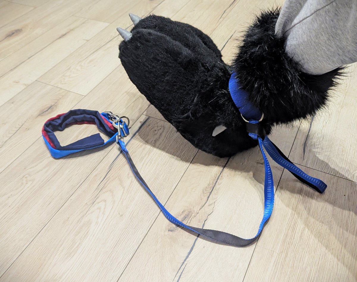 Solwer AD🇵🇱 tweet media