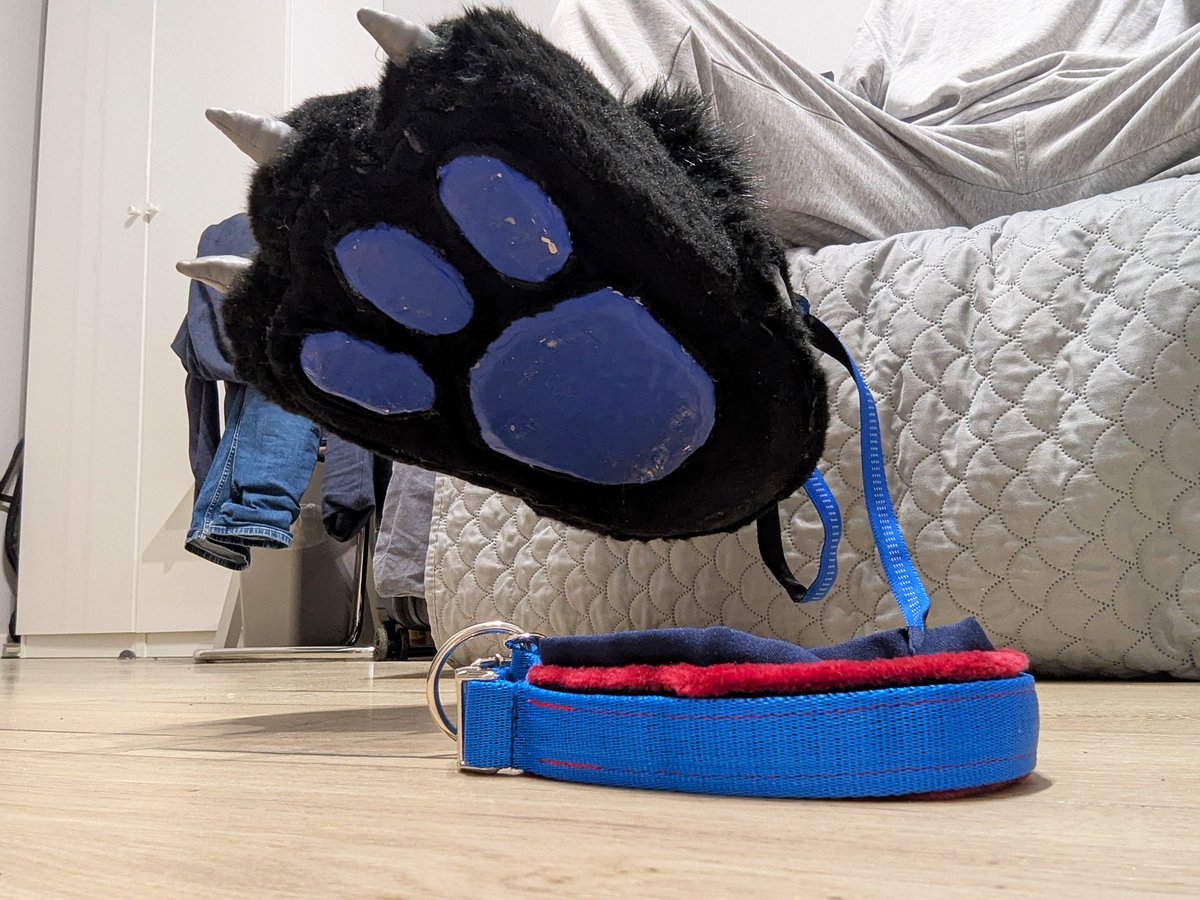 Solwer AD🇵🇱 tweet media