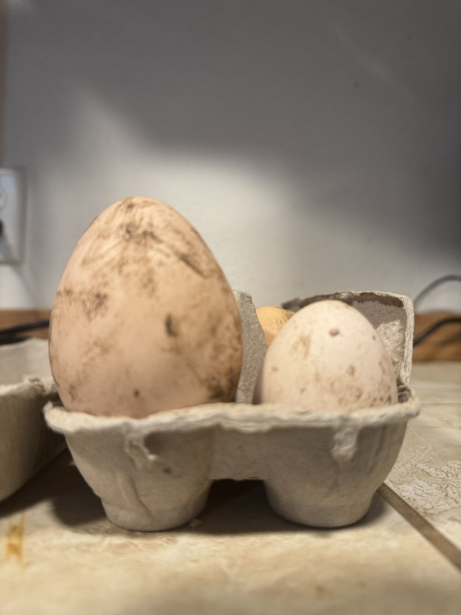 PNWGUERRILLA tweet media