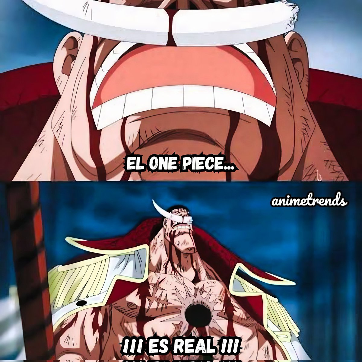 Animetrends tweet media