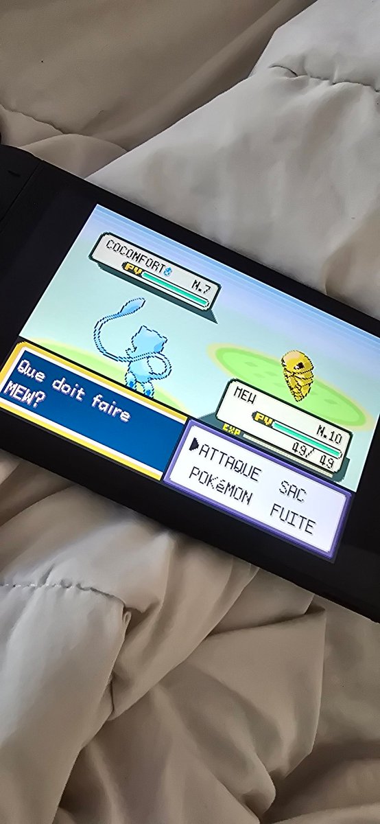 Monsieur tweet media