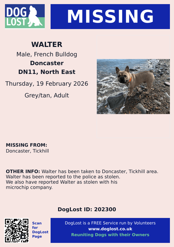 millypod1's tweet photo. 🆘19 FEB 2026 #STOLEN Walter #ScanMe
Grey/Tan French Bulldog Male
#Tickhill #Doncaster #SouthYorkshire #DN11
https://t.co/fZrJqfv5bH https://t.co/UdX4ZN4DZE