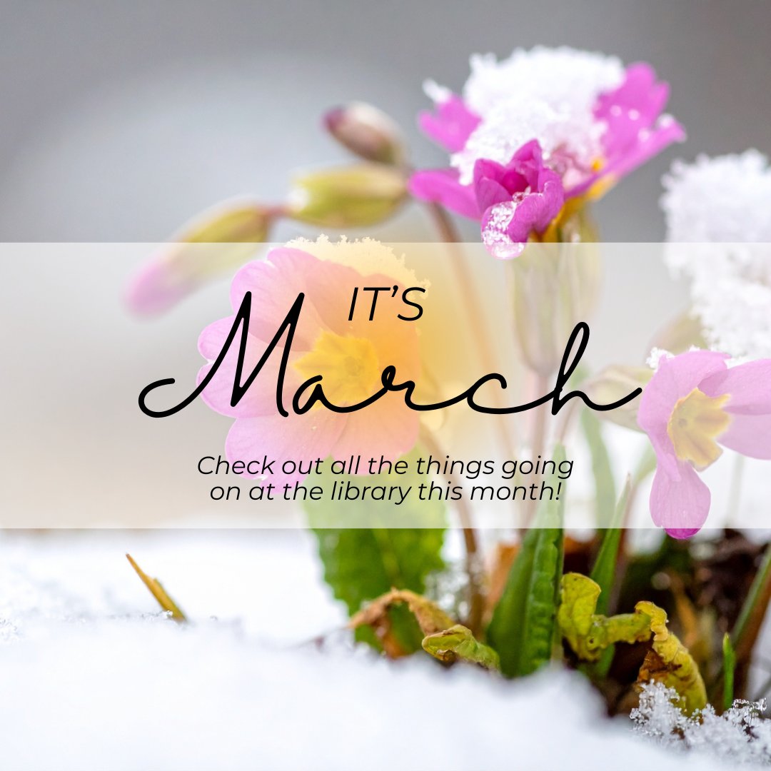 WyckoffLibrary tweet media