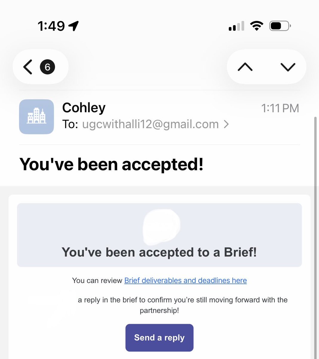 Alli | UGC Creator tweet media