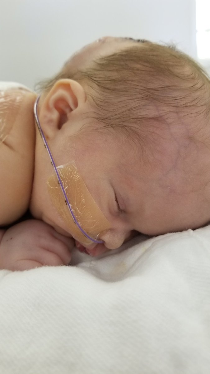 Marcus Allen tweet media