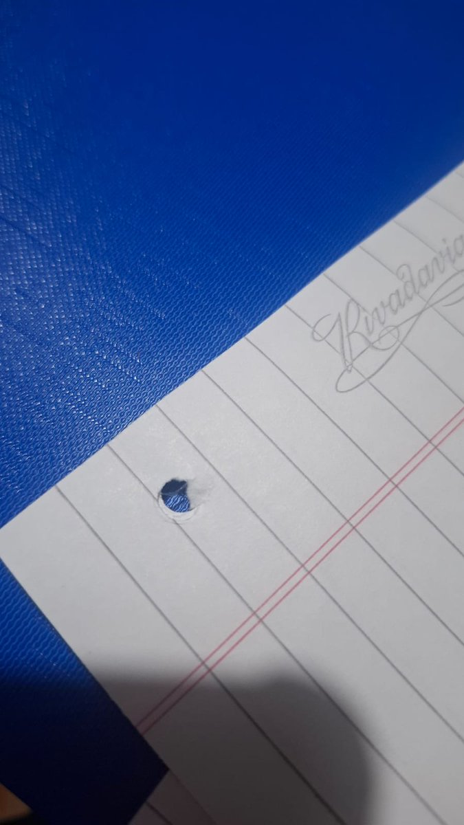 Querida Rivadavia: gracias por las hojas con los agujeritos marcados pero NO perforados. Me pasé 2 h sacando circulitos con el capuchón de una lapicera. Y lo mejor: cuando por fin salían, se rompía o se agrandaba el hueco. Artesanía pura. La próxima manden un punzón de regalo 🖕