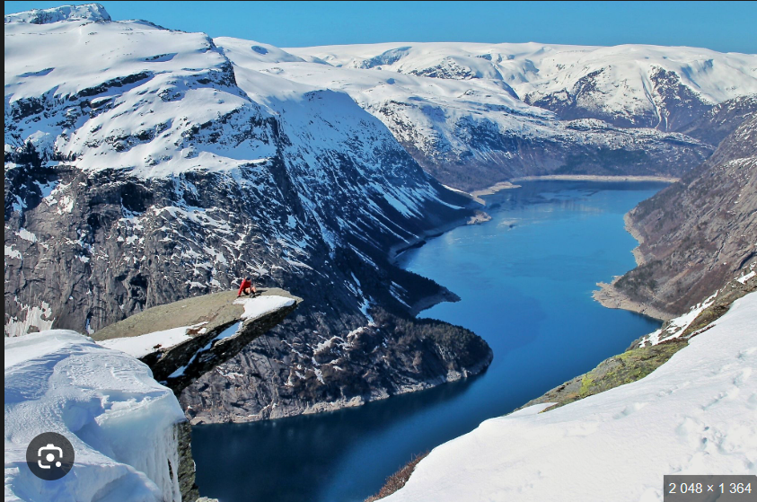 SillyBitoshi tweet media