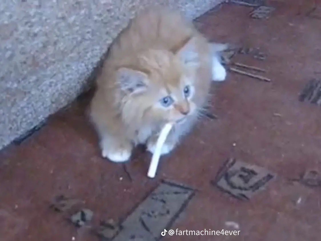 Orthodontist harassing me about getting jaw surgery