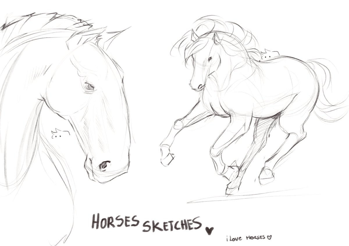 Domsuke01's tweet photo. Little random sketches :P #sketches #horse https://t.co/YUcR6ouhOs