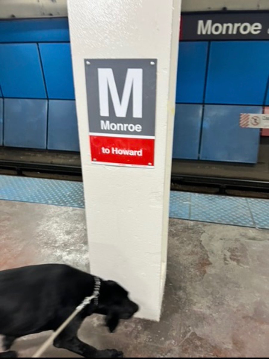 CPD_Transit tweet media