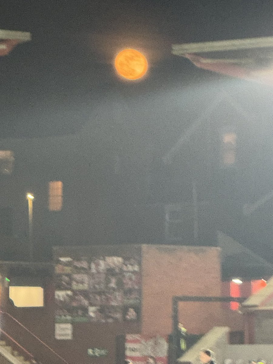 vic morgan tweet media