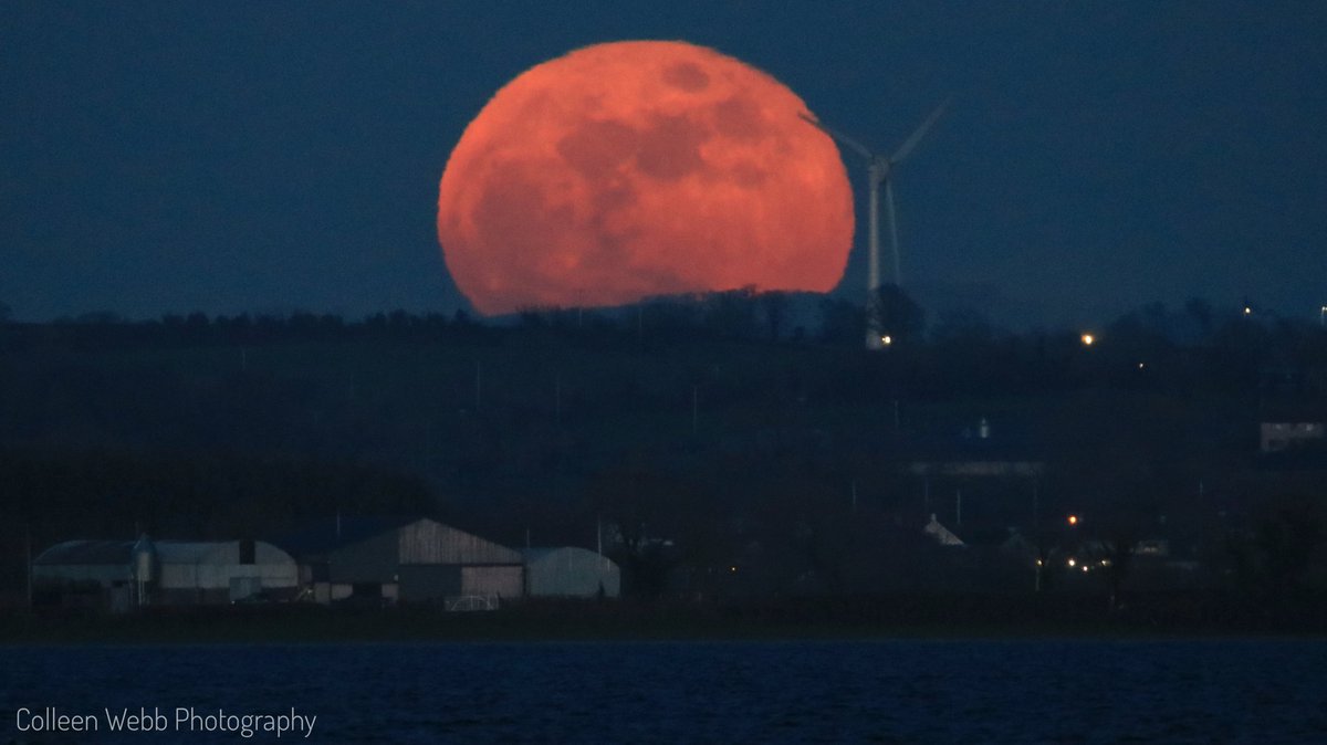 Colleen Webb tweet media