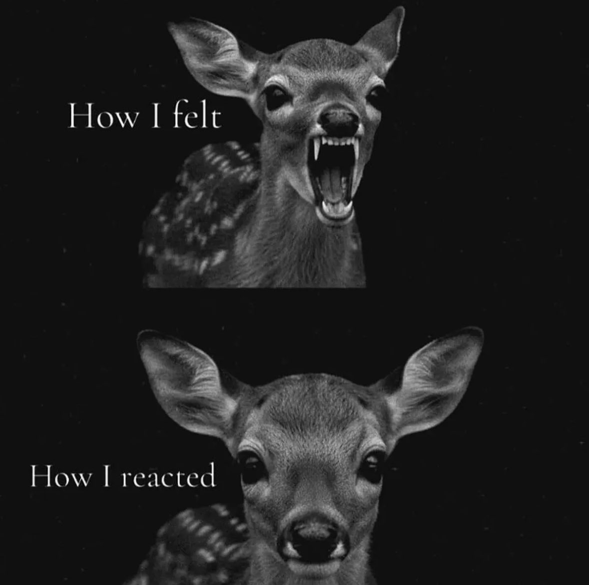 ✧ (@northstardoll) on Twitter photo 