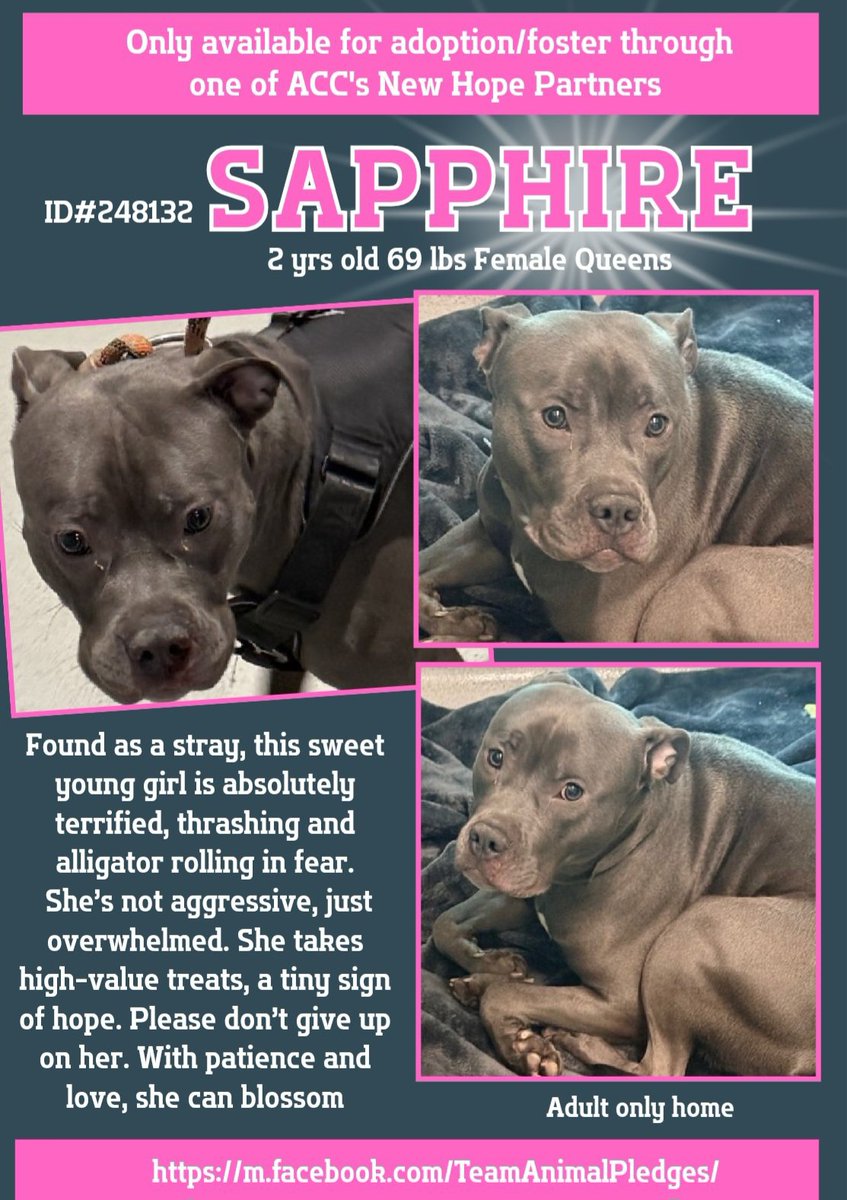 Char Bolen tweet media