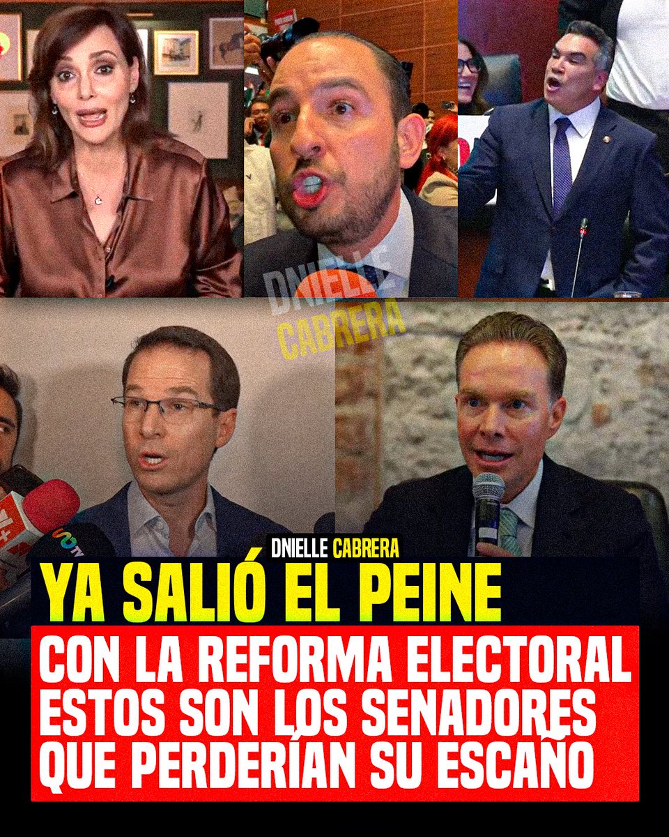 DnielleCabrera tweet media