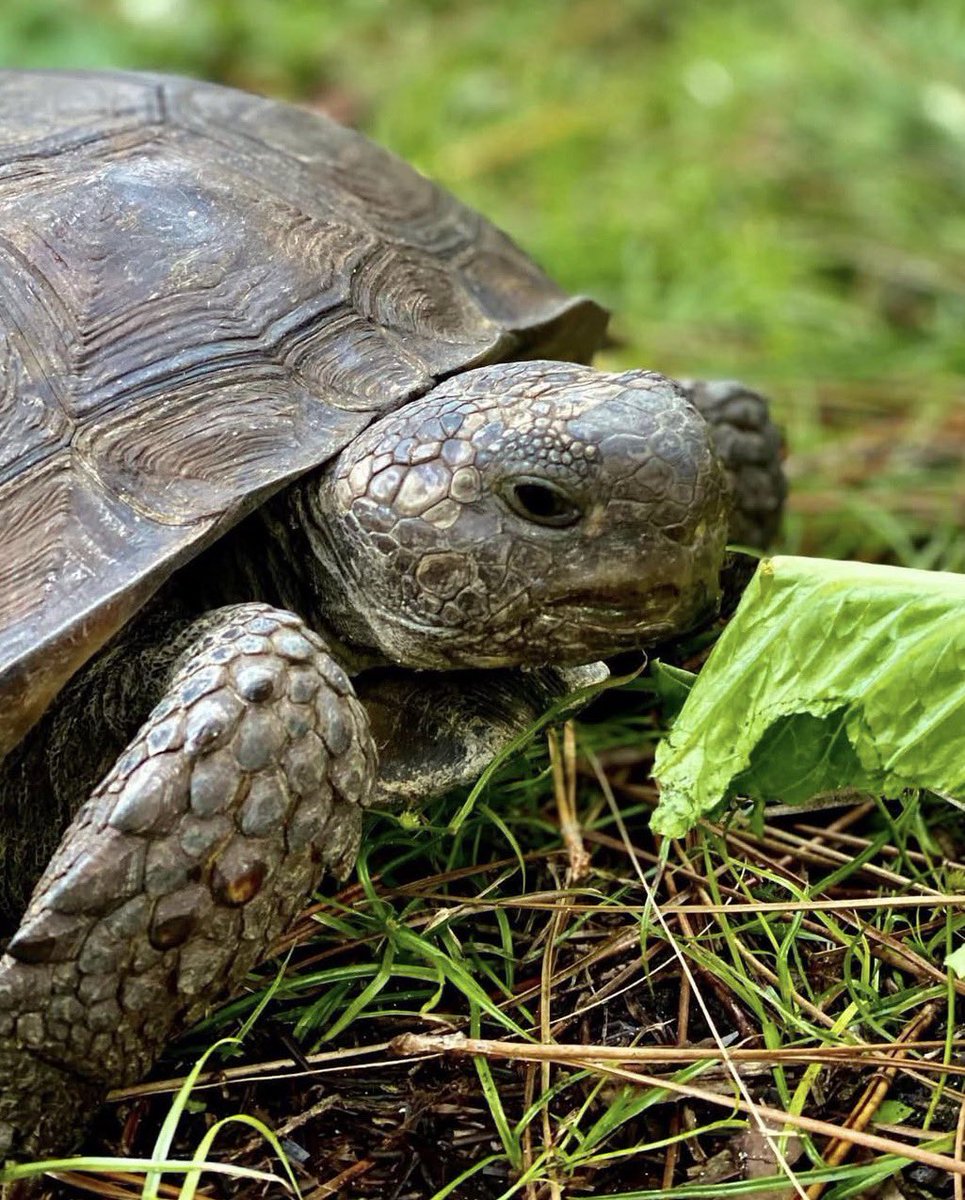 DiscoverMartin tweet media