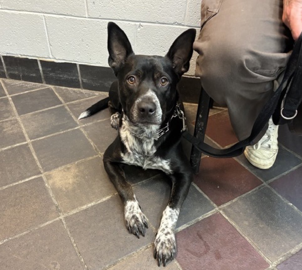 Julie🌻🐾 tweet media