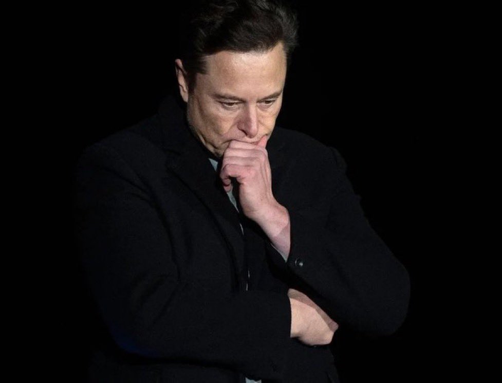 Are you satisfied with Elon Musk's leadership at X 🇺🇸!?

A. 100%
          
B. 50%

C. 25%            

D. 0%