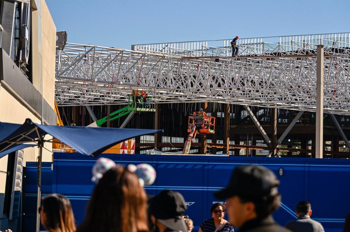 Brady MacDonald tweet media