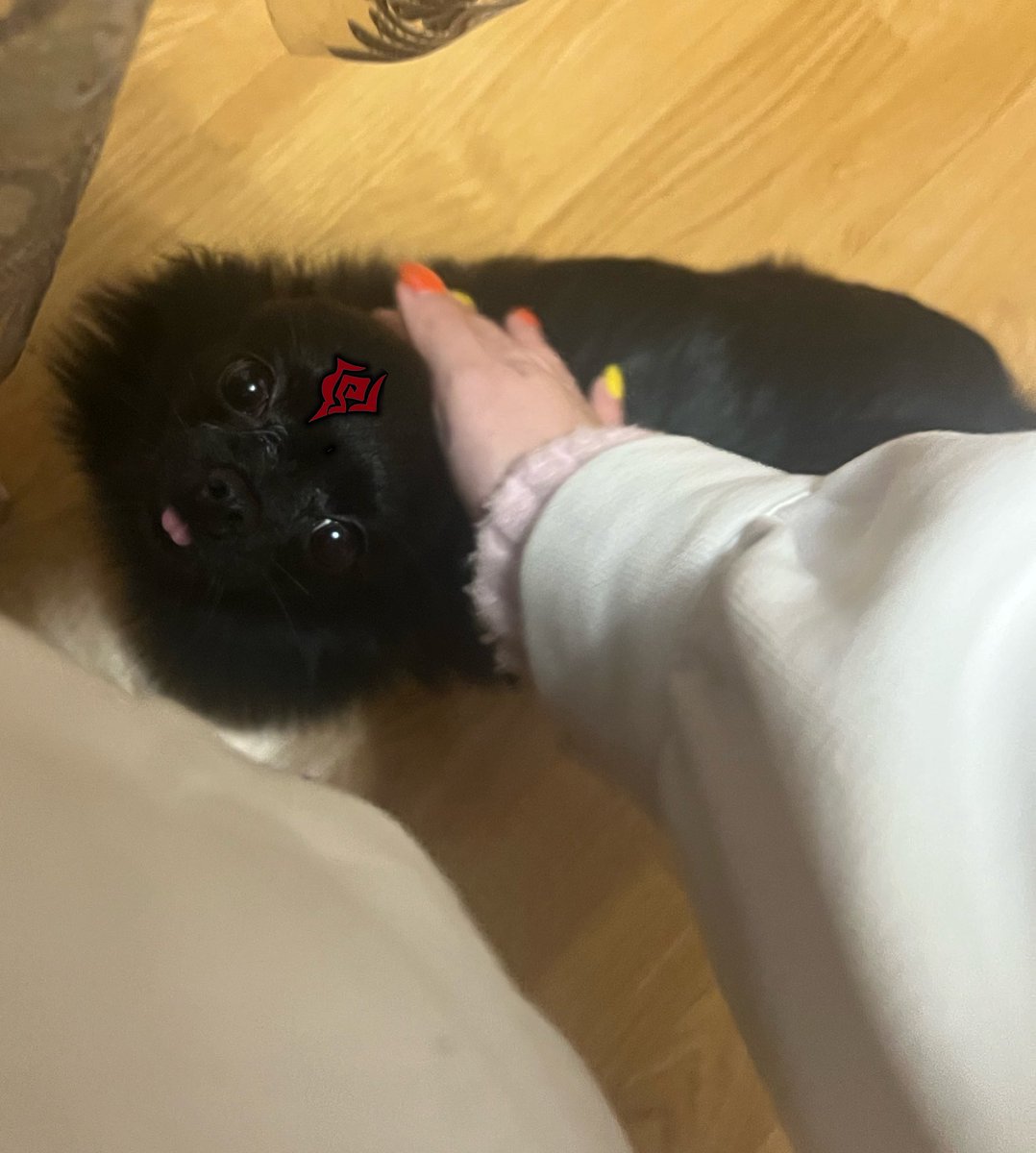 Bingpuppiest