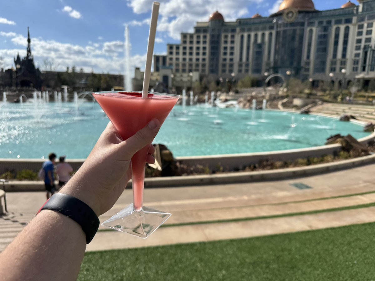 DreamfinderGuy tweet media