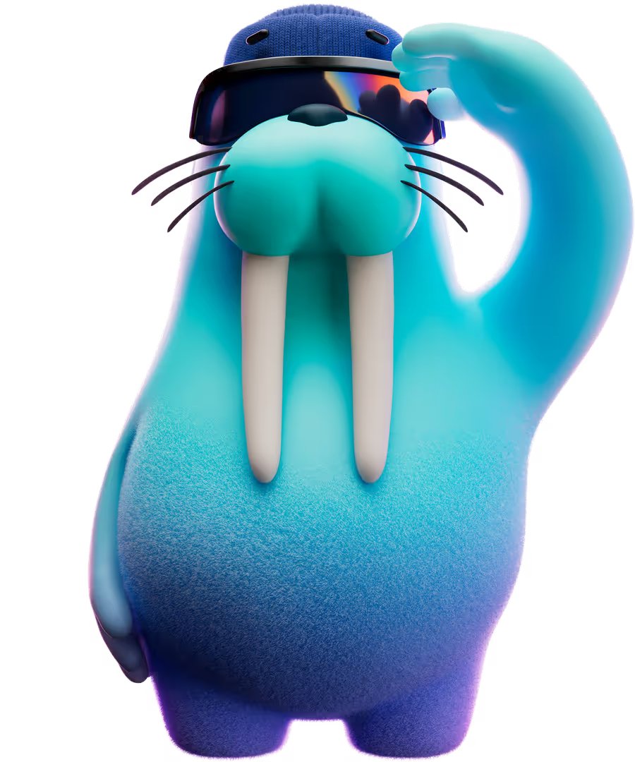 Sui Community Official tweet media