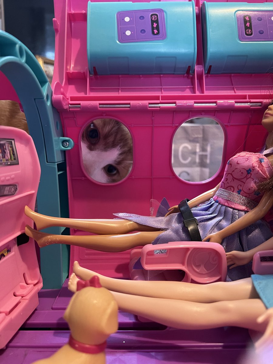 Franklin tweet media