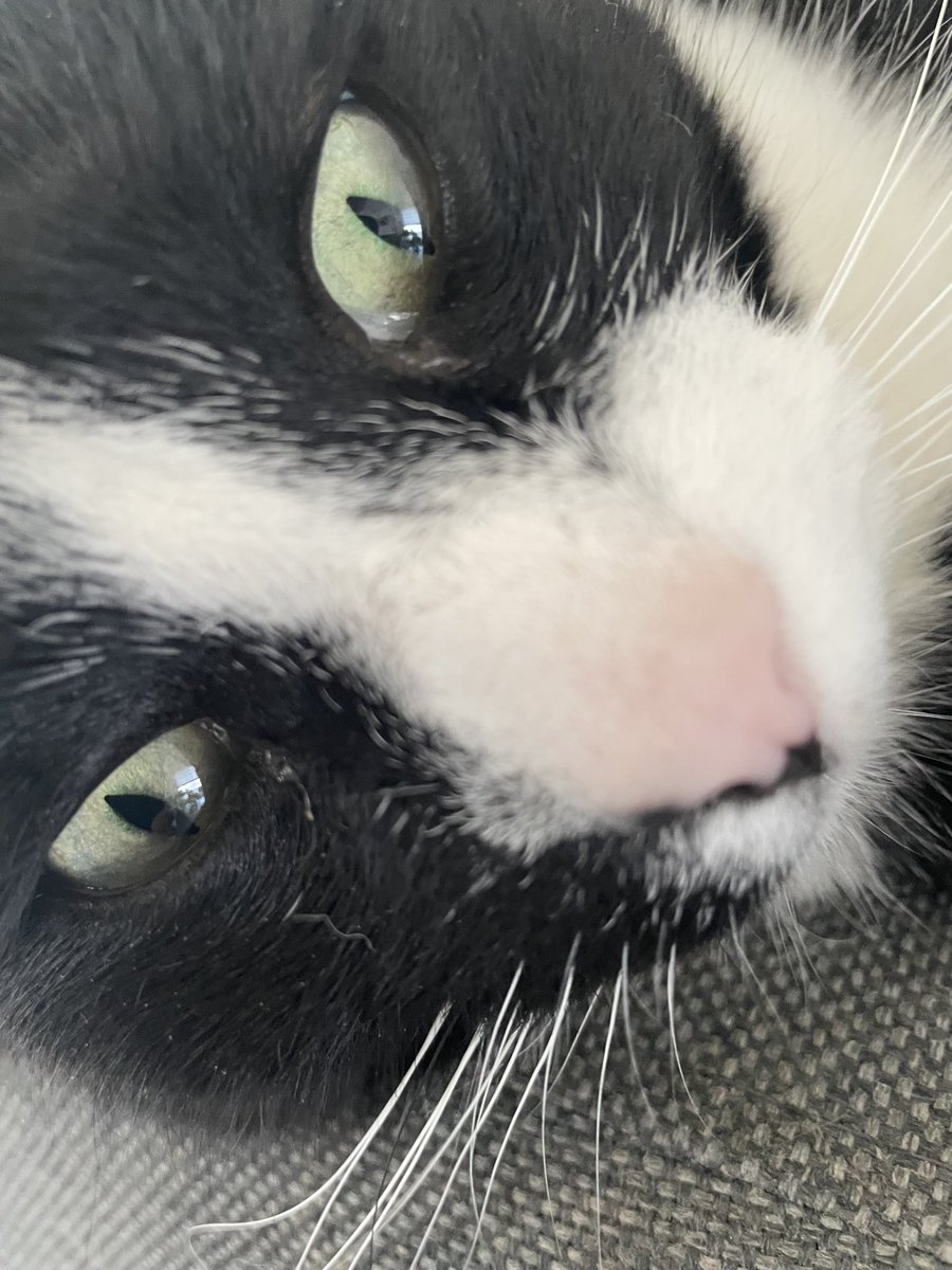 Extremetuna tweet media