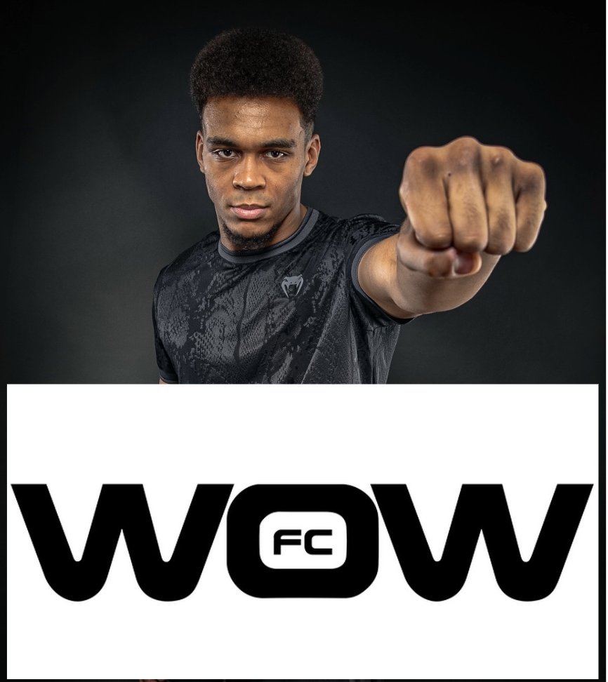 Pelunaton tweet media