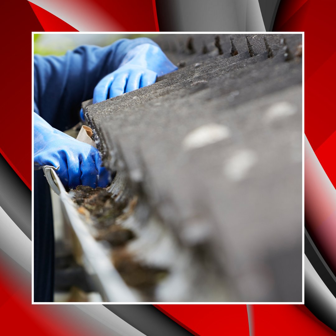 WindowMic's tweet photo. Don't let clogged gutters cause hidden water damage. Our gutter cleaning services ensure rain flows properly and your roof remains protected. Reach out today to secure your appointment! #GutterCleaning
https://t.co/rVQzv6jCZO https://t.co/6OpDwxA63F