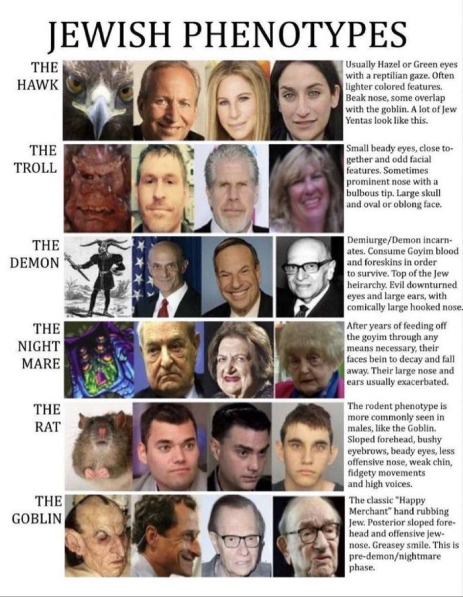 Volk ans Gewehr tweet media