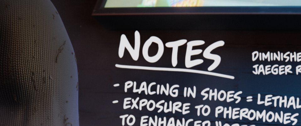 Poly 🌺 tweet media