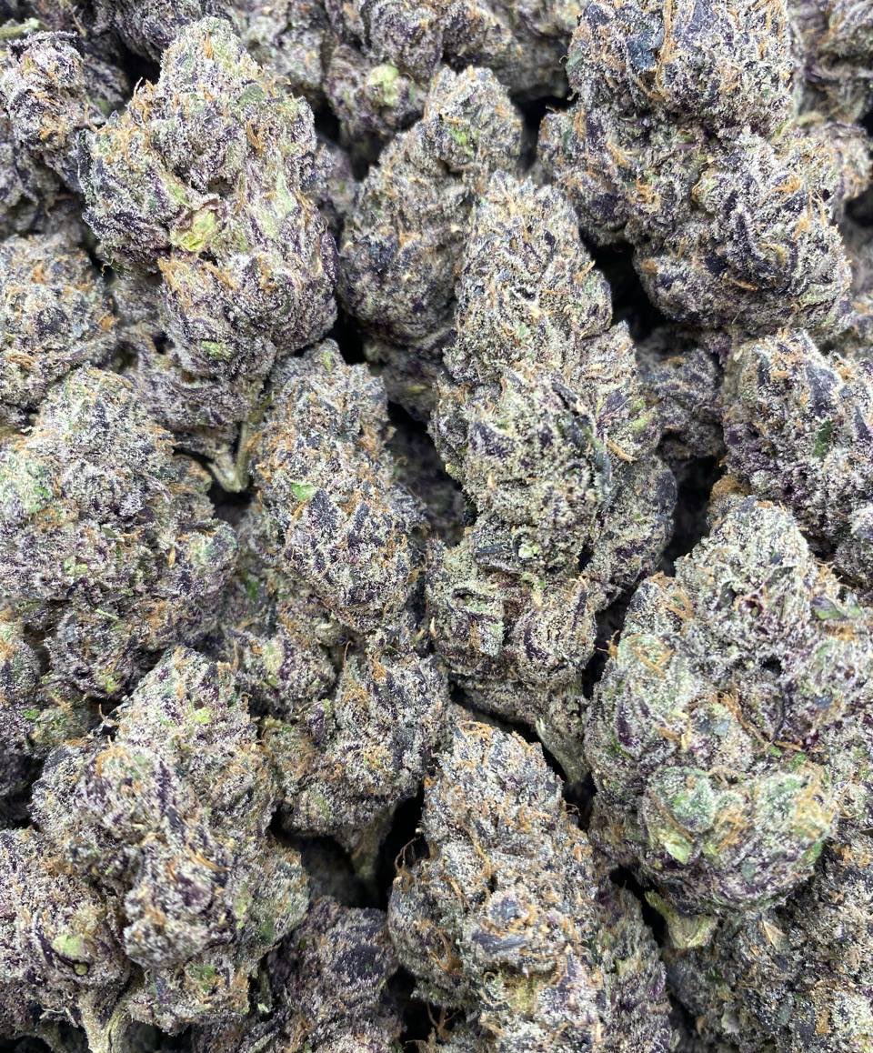 GIAEXOTIX's tweet image. Hi Chew 🍬

Check out the link for full media 

tutuduanyu.org/GIAEXOTICS

t.me/+oWiAD5vPLVM1N…

#cannabis #thc #indoor #weed #muhameds #cookies #besos #fryds #goldaces #boutiq #Tennessee #indiana #kansas #missouri #hitz #usa #besos #eastcoast #nyc #terps #stoners #sourdiesel