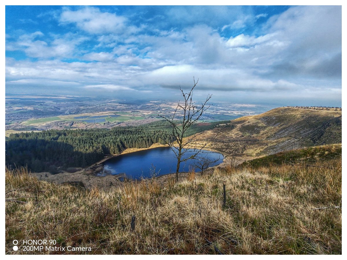 Martin Whittaker tweet media