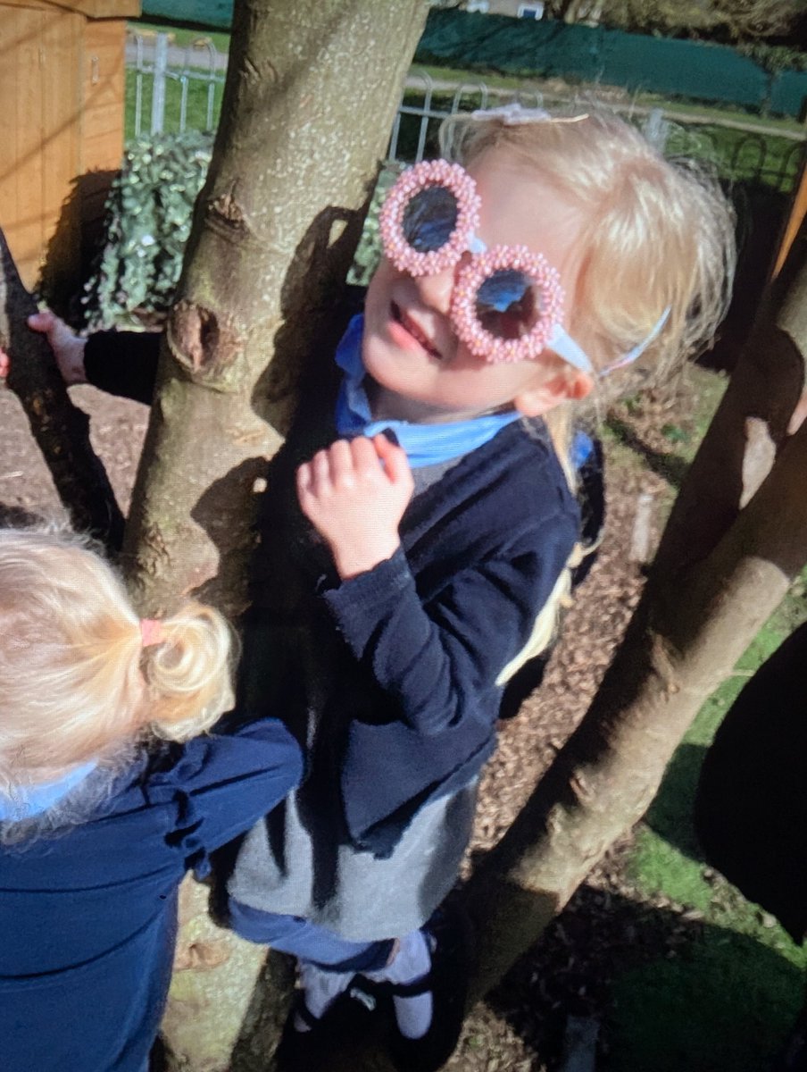 CrowlePrimary tweet media