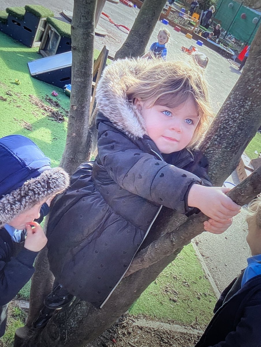 CrowlePrimary tweet media