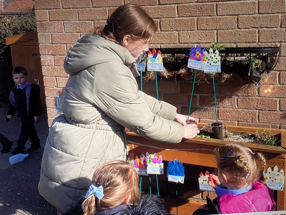 CrowlePrimary tweet media